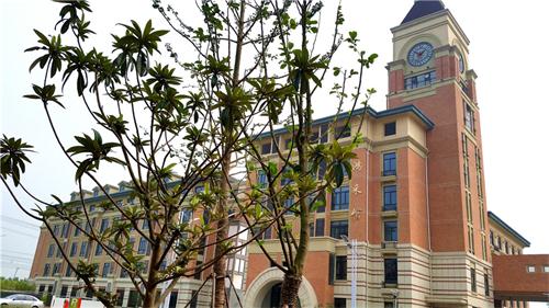 合肥七中高新校區(qū)樓宇、道路、景觀等命名名稱(圖7)