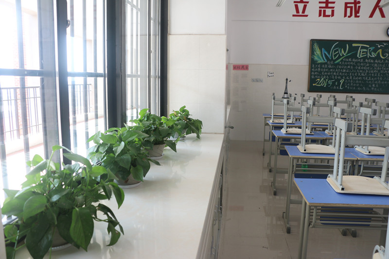 建設(shè)美好班級，展示真我風采(圖3)
