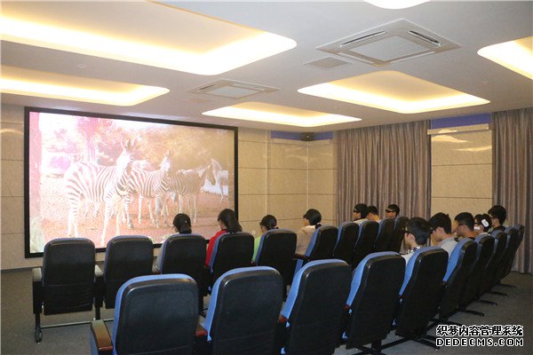 經(jīng)營(yíng)心靈 助力成長(zhǎng)(圖3)