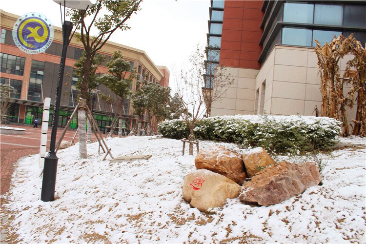 雪園“石頭記”，最美是氣質(zhì)(圖14)