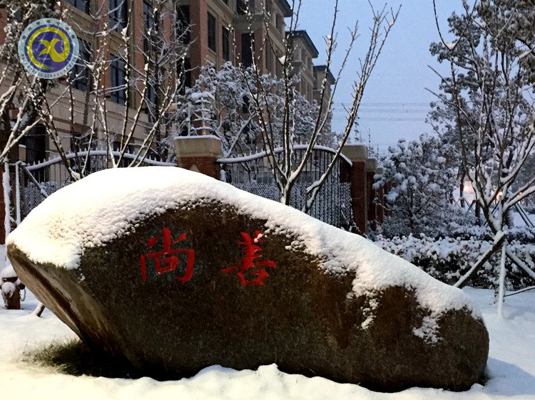 雪園“石頭記”，最美是氣質(zhì)(圖3)
