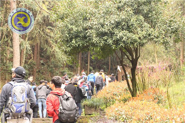 徽風皖韻醉春風 愚人癡言欲長留(圖2)