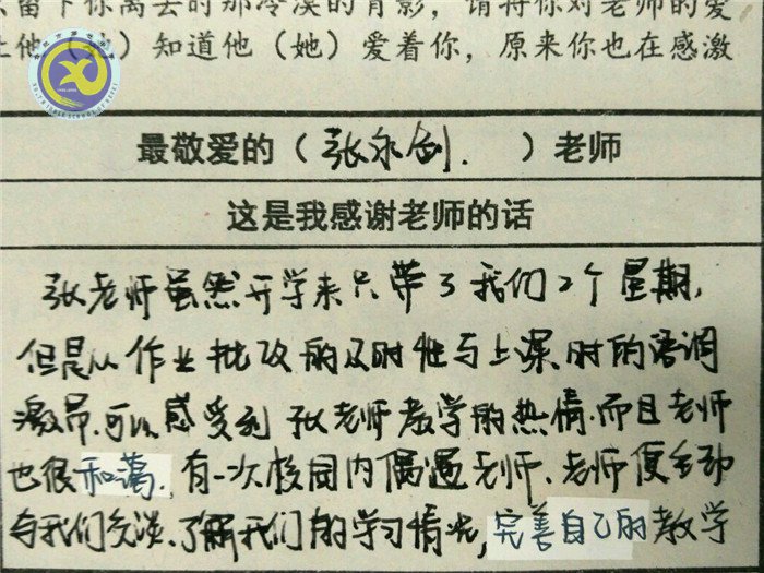 最愛哪位老師？一定投TA票哦！(圖5)