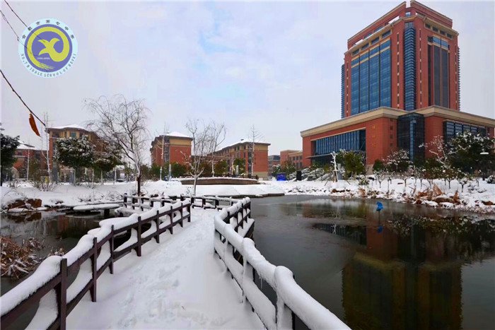 梅雪盼冬來，微笑迎春歸(圖6)
