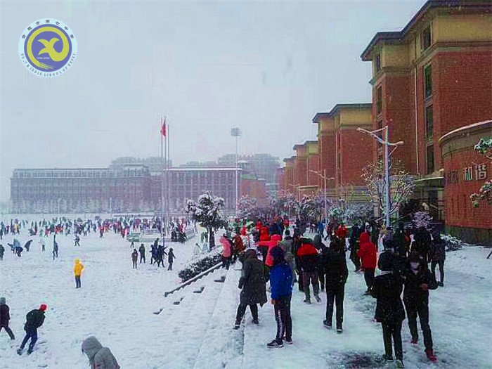 梅雪盼冬來，微笑迎春歸(圖7)