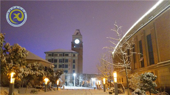 梅雪盼冬來，微笑迎春歸(圖12)