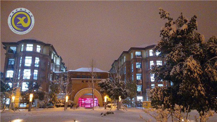 梅雪盼冬來，微笑迎春歸(圖13)