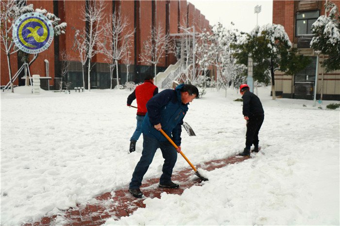 梅雪盼冬來，微笑迎春歸(圖11)