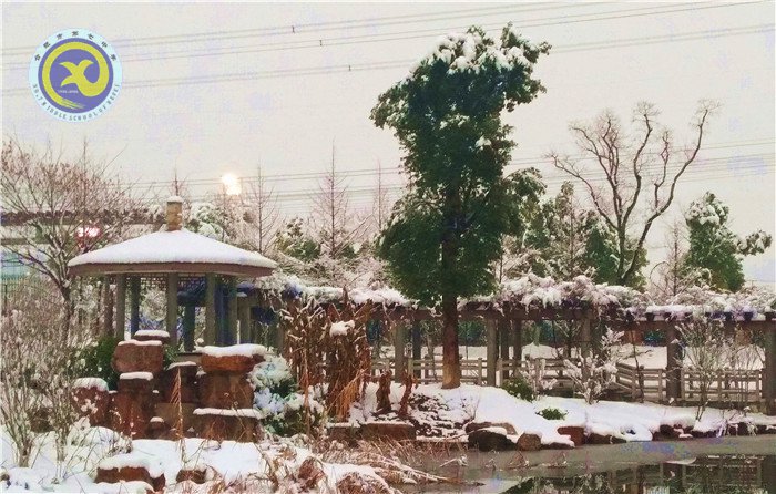 梅雪盼冬來，微笑迎春歸(圖8)