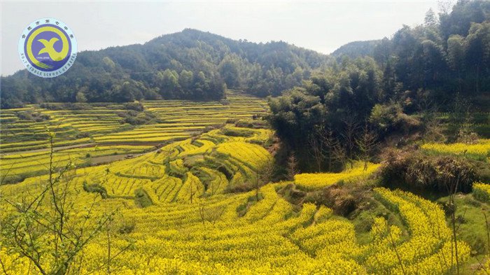 徽風(fēng)皖韻，盡在宏村(圖1)