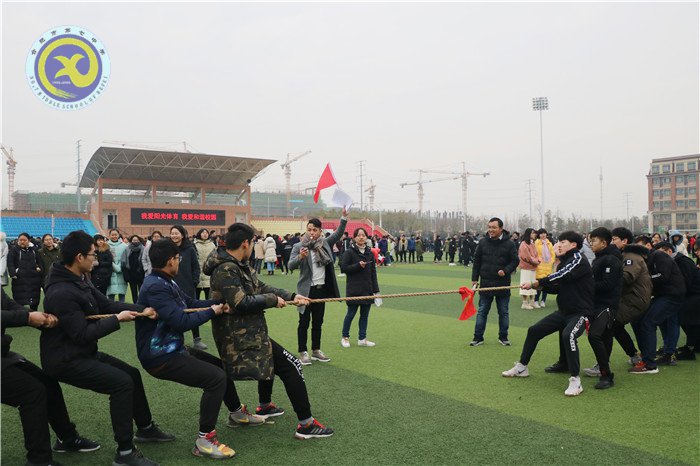 凝心聚力拔河賽，辭舊迎新戰(zhàn)高三(圖1)