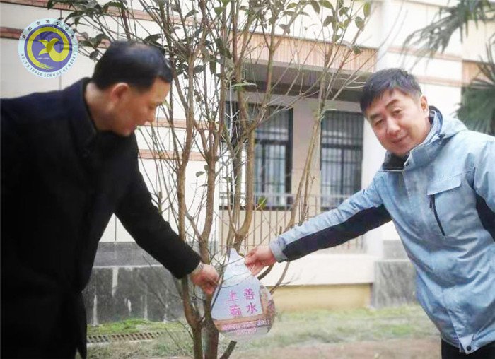 一棵兩棵三棵，棵棵皆成棟梁材(圖7)