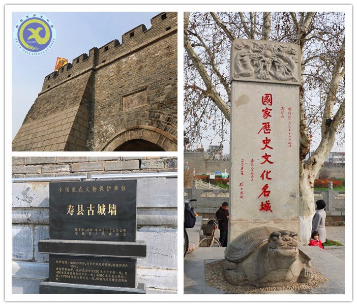 綠柳含煙日，踏青正當(dāng)時(shí)(圖2)