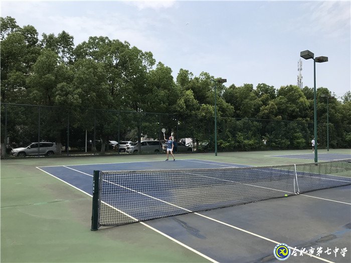 鏗鏘玫瑰，叱咤網(wǎng)壇(圖4)