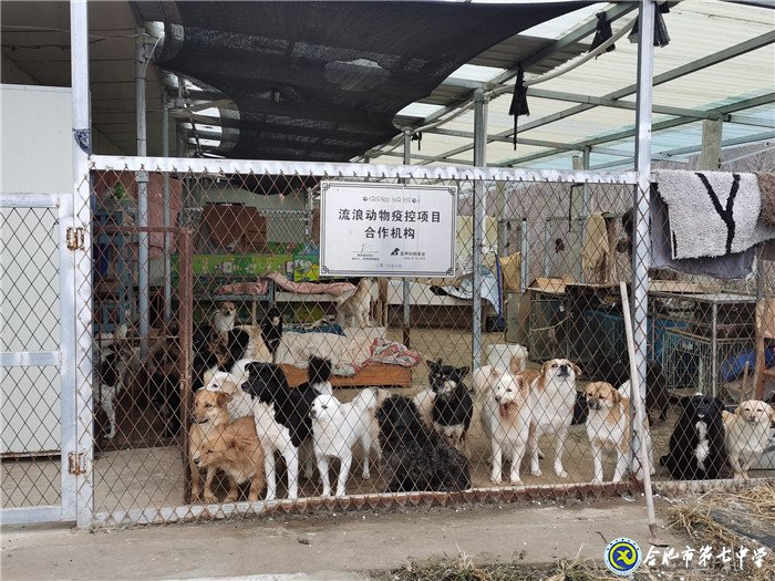 關愛生命，善待動物(圖3)