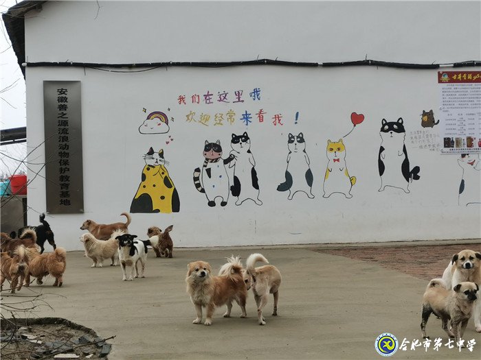 關愛生命，善待動物(圖2)
