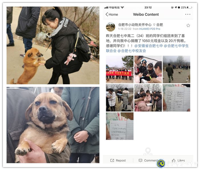 關愛生命，善待動物(圖4)