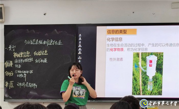 6月22日實習手記： 從稚嫩里蛻變，在實踐中成長(圖11)