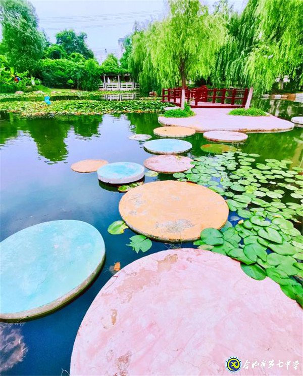 再見，合肥七中(圖1)