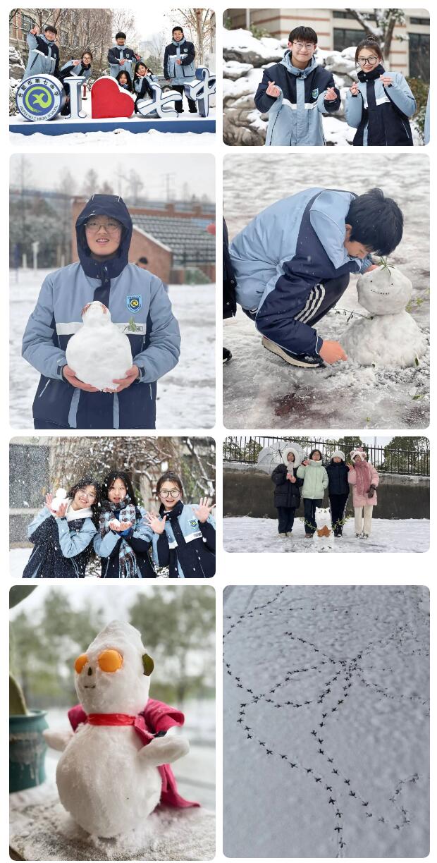 寶藏學(xué)校：每個(gè)人都期待，雪花所帶來的“活潑潑”的生命(圖9)