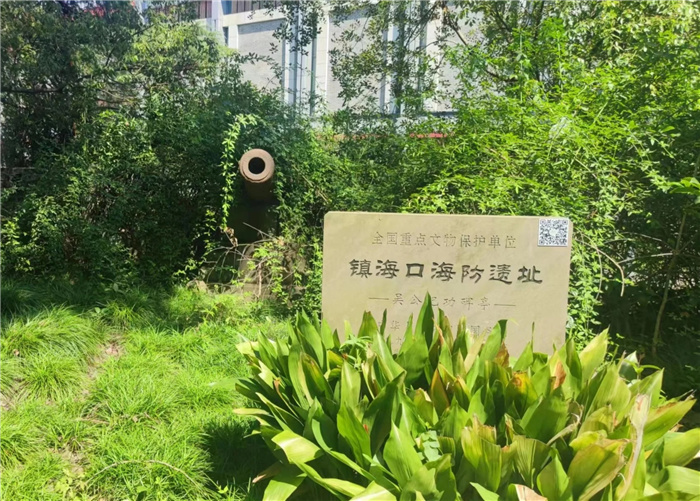 “主動(dòng)融入長三角，合肥七中這樣做”之四：知己不足而后進(jìn)，望山遠(yuǎn)岐而前行(圖5)