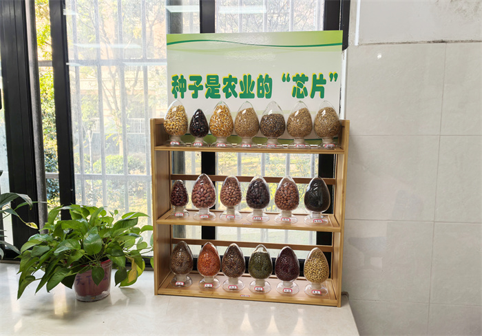 記合肥七中高二年級勞動教育實(shí)踐(圖1)