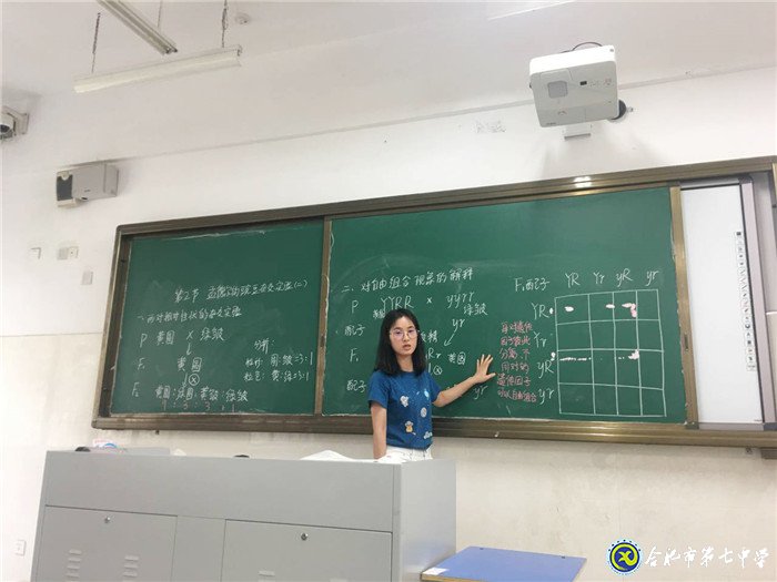 獨木不成林，集體有力量(圖4)