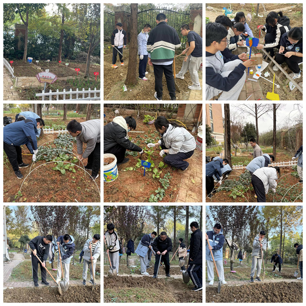 從播種到收獲，七中少年在田埂上書寫成長答卷(圖3)