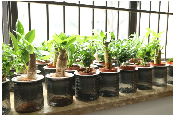 QQ截圖20260309160050.png QQ截圖20260309160050.png